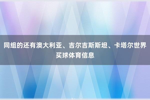 同组的还有澳大利亚、吉尔吉斯斯坦、卡塔尔世界买球体育信息