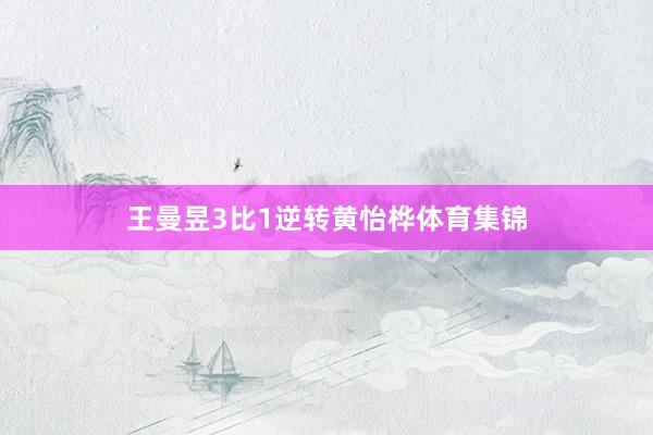 王曼昱3比1逆转黄怡桦体育集锦