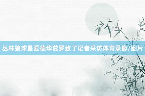 丛林狼球星爱德华兹罗致了记者采访体育录像/图片