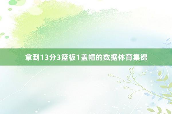 拿到13分3篮板1盖帽的数据体育集锦