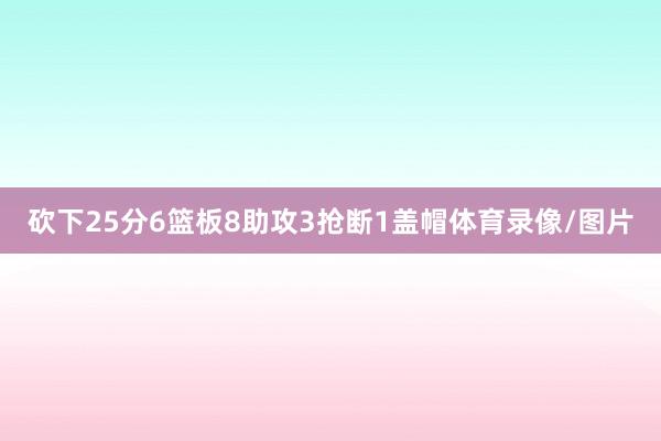 砍下25分6篮板8助攻3抢断1盖帽体育录像/图片