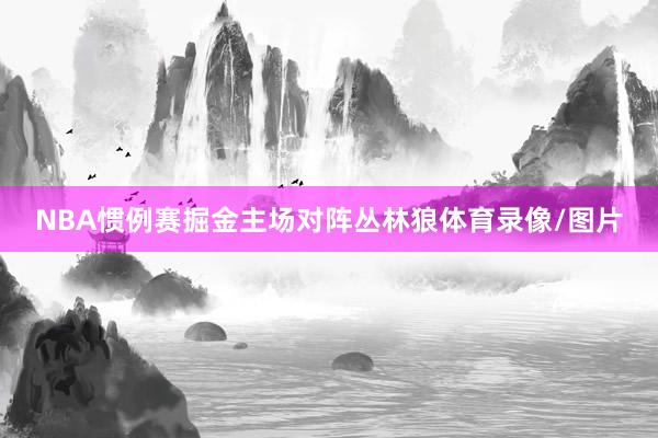 NBA惯例赛掘金主场对阵丛林狼体育录像/图片