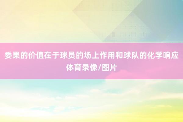 委果的价值在于球员的场上作用和球队的化学响应体育录像/图片