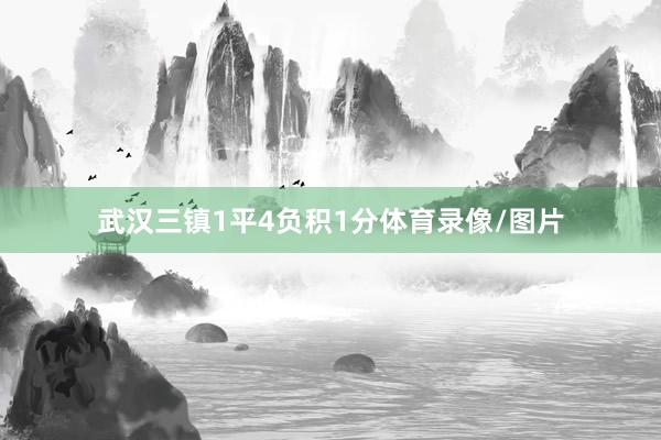 武汉三镇1平4负积1分体育录像/图片