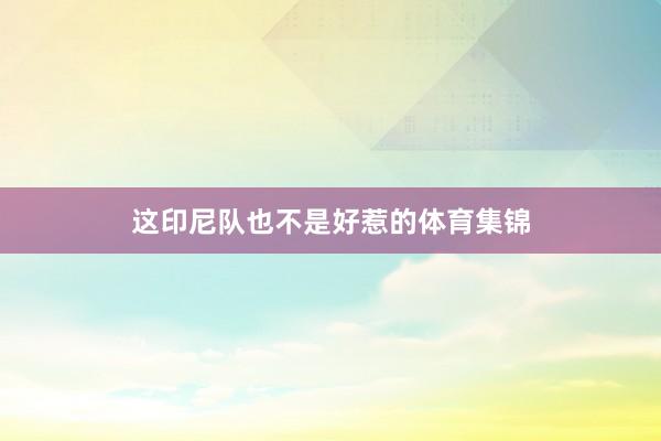 这印尼队也不是好惹的体育集锦