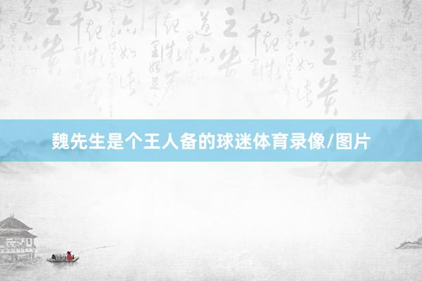 魏先生是个王人备的球迷体育录像/图片
