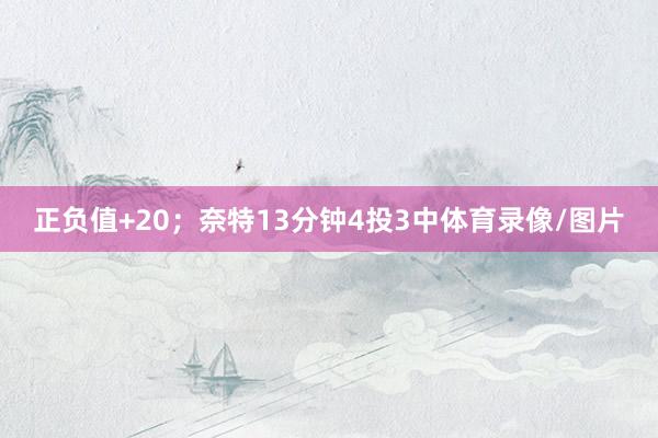 正负值+20；奈特13分钟4投3中体育录像/图片