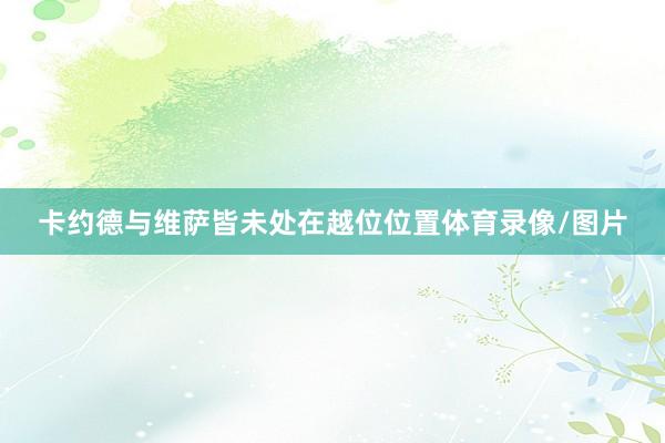 卡约德与维萨皆未处在越位位置体育录像/图片
