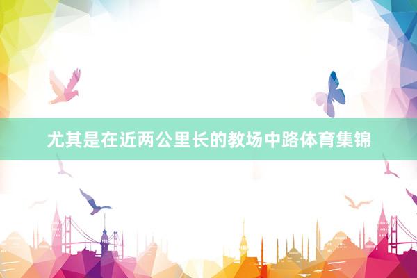 尤其是在近两公里长的教场中路体育集锦