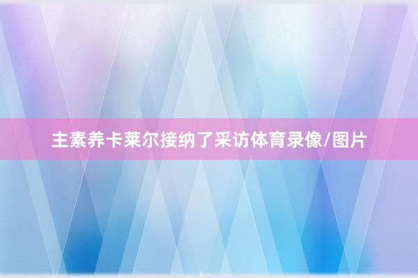 主素养卡莱尔接纳了采访体育录像/图片