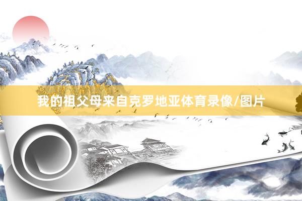 我的祖父母来自克罗地亚体育录像/图片