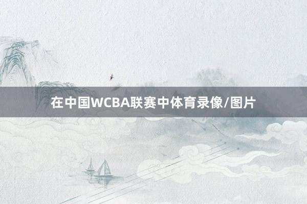 在中国WCBA联赛中体育录像/图片