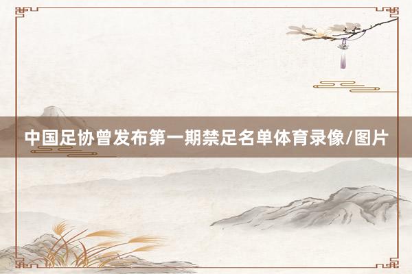 中国足协曾发布第一期禁足名单体育录像/图片