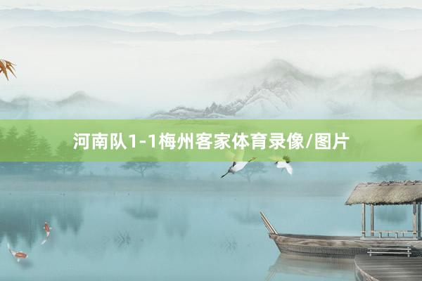 河南队1-1梅州客家体育录像/图片