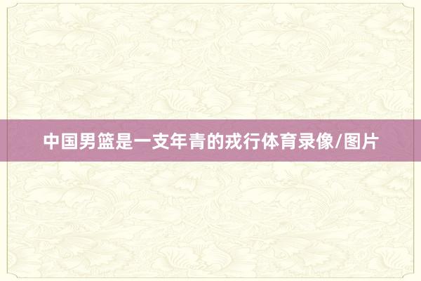 中国男篮是一支年青的戎行体育录像/图片