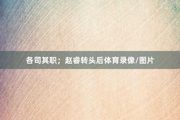各司其职；赵睿转头后体育录像/图片
