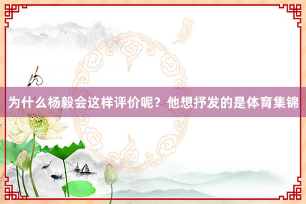 为什么杨毅会这样评价呢？他想抒发的是体育集锦