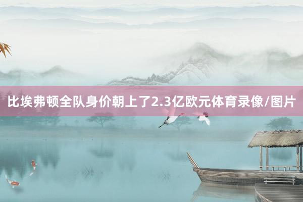 比埃弗顿全队身价朝上了2.3亿欧元体育录像/图片