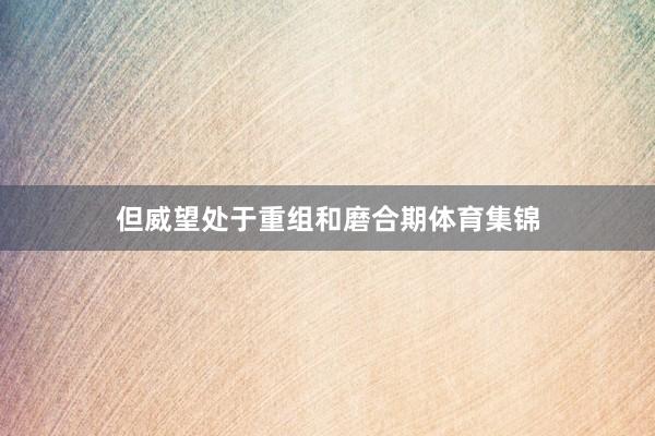 但威望处于重组和磨合期体育集锦
