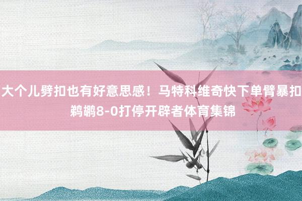 大个儿劈扣也有好意思感！马特科维奇快下单臂暴扣 鹈鹕8-0打停开辟者体育集锦