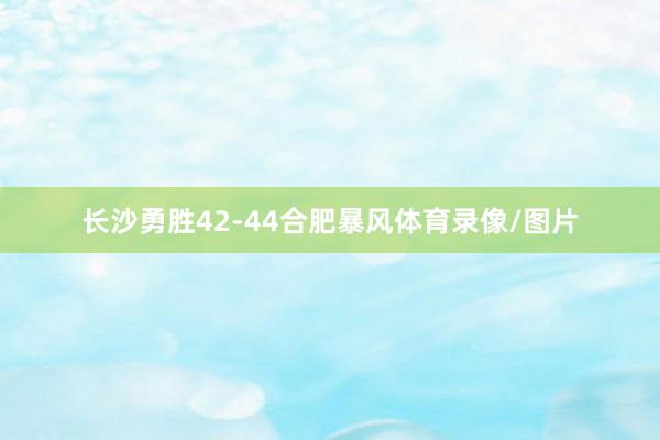 长沙勇胜42-44合肥暴风体育录像/图片