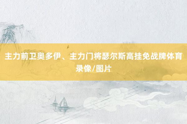 主力前卫奥多伊、主力门将瑟尔斯高挂免战牌体育录像/图片