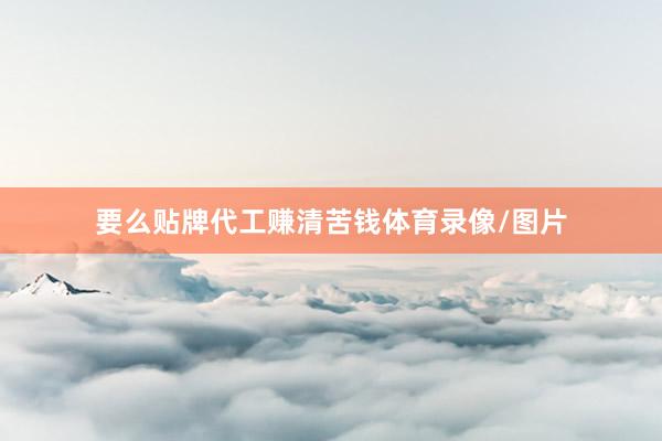 要么贴牌代工赚清苦钱体育录像/图片