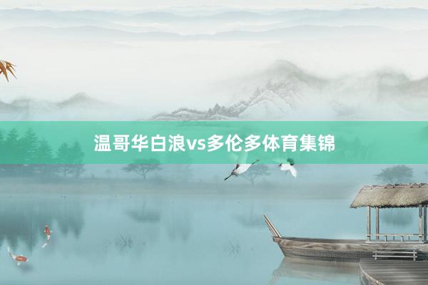 温哥华白浪vs多伦多体育集锦