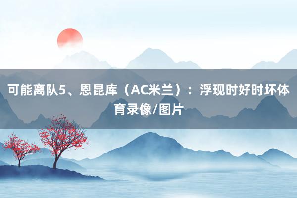 可能离队5、恩昆库（AC米兰）：浮现时好时坏体育录像/图片