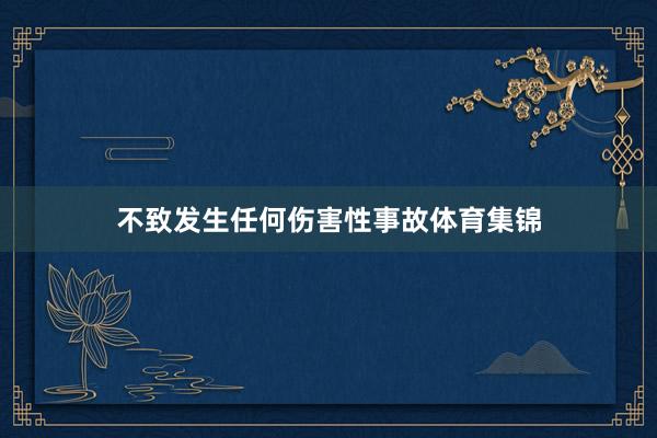 不致发生任何伤害性事故体育集锦