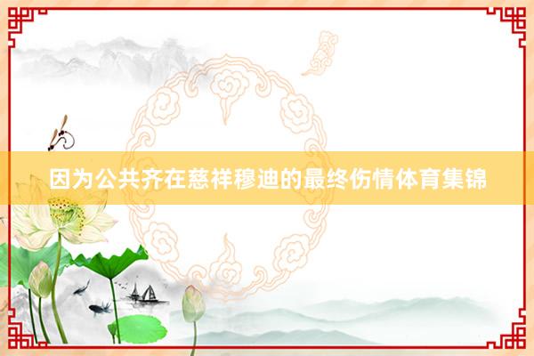 因为公共齐在慈祥穆迪的最终伤情体育集锦