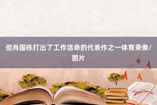 但肖国栋打出了工作活命的代表作之一体育录像/图片