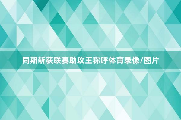同期斩获联赛助攻王称呼体育录像/图片