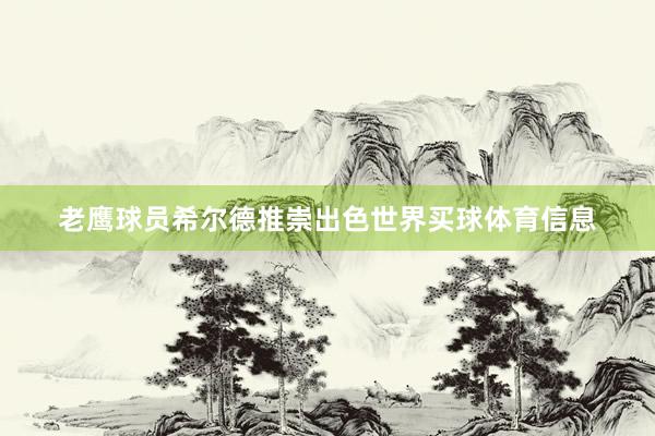 老鹰球员希尔德推崇出色世界买球体育信息
