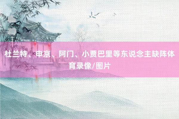 杜兰特、申京、阿门、小贾巴里等东说念主缺阵体育录像/图片