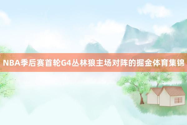 NBA季后赛首轮G4丛林狼主场对阵的掘金体育集锦