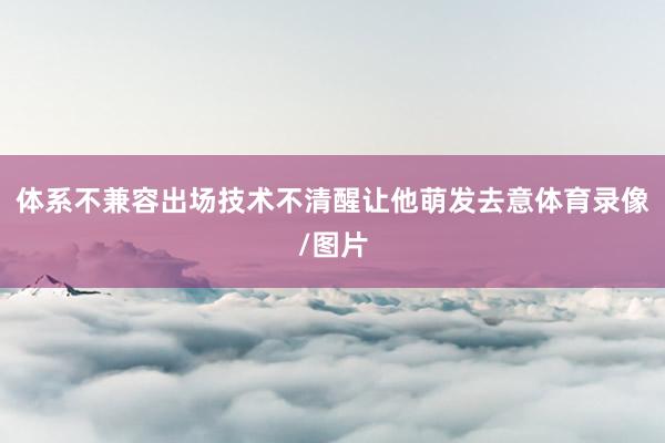 体系不兼容出场技术不清醒让他萌发去意体育录像/图片
