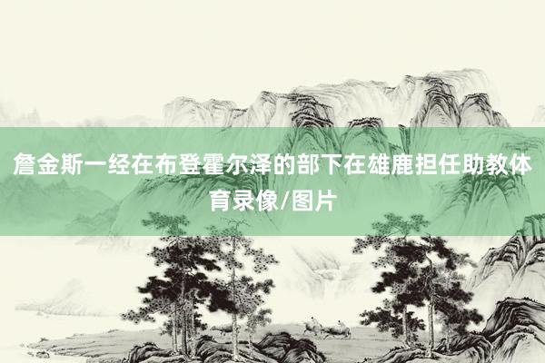 詹金斯一经在布登霍尔泽的部下在雄鹿担任助教体育录像/图片