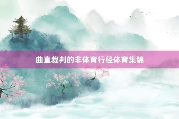 曲直裁判的非体育行径体育集锦