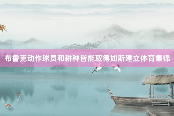 布鲁克动作球员和耕种皆能取得如斯建立体育集锦