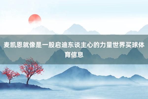 麦凯恩就像是一股启迪东谈主心的力量世界买球体育信息