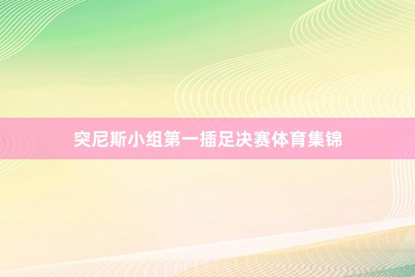 突尼斯小组第一插足决赛体育集锦