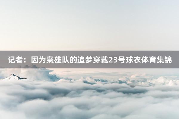 记者:因为枭雄队的追梦穿戴23号球衣体育集锦